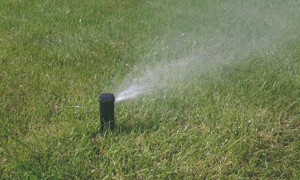 Zelf een beregeningsinstallatie aanleggen 9 tips voor het aanleggen van een beregeningsinstallatie in uw tuin