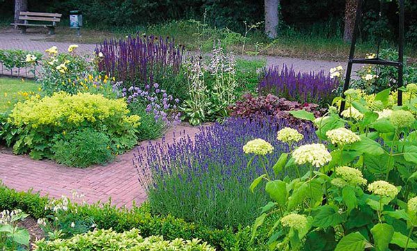 Tuinonderhoud