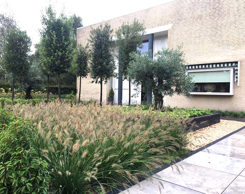 moderne voortuin met veel beplanting, aangelegd door Van Hout Tuinprojecten uit Rosmalen