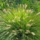 Beplanting regio Rosmalen