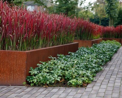 Tuinaanleg beplanting Rosmalen