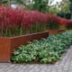 Tuinaanleg beplanting Rosmalen