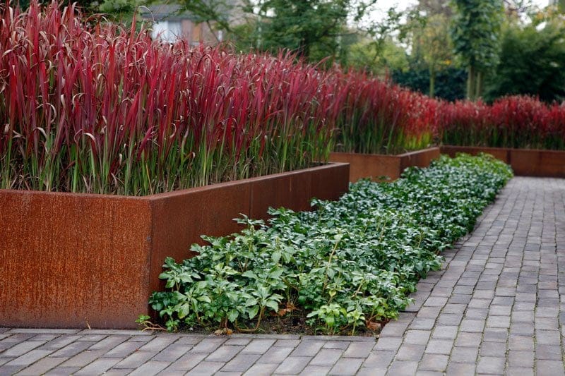 Tuinaanleg beplanting Rosmalen Tuinaanleg beplanting Rosmalen