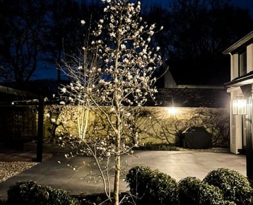 Tuinaanleg in Vught met magnoliaboom, verlichting avond