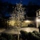 Tuinaanleg in Vught met magnoliaboom, verlichting avond