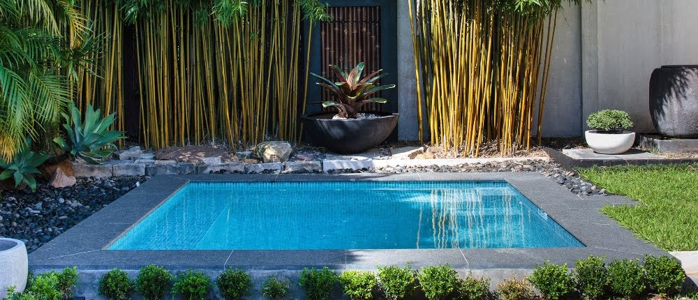 Plunge pool een klein zwembad