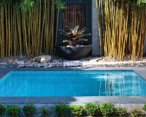 Plunge pool een klein zwembad