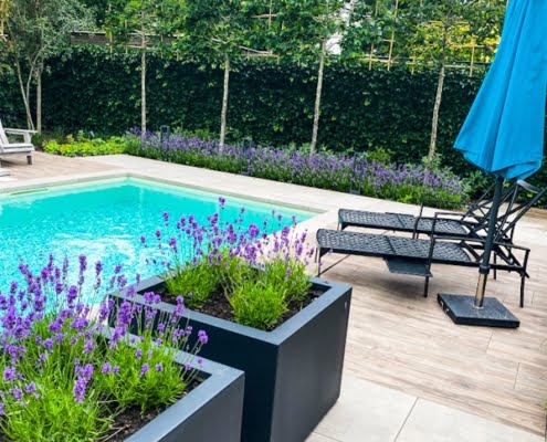 Van Hout Tuinprojecten kan een wellness tuin voor u realiseren waar u volledig in kan ontspannen en genieten