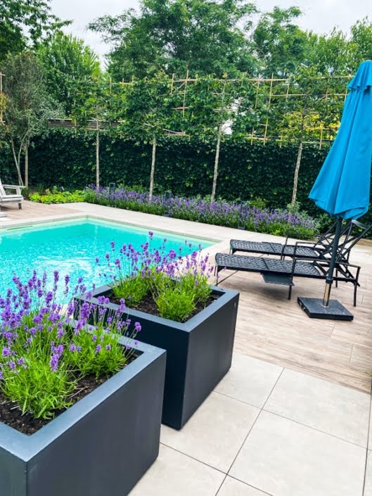 Van Hout Tuinprojecten kan een wellness tuin voor u realiseren waar u volledig in kan ontspannen en genieten