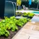 Waterval, spiegelvijver, beplanting