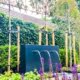 Waterval, leibomen, beplanting