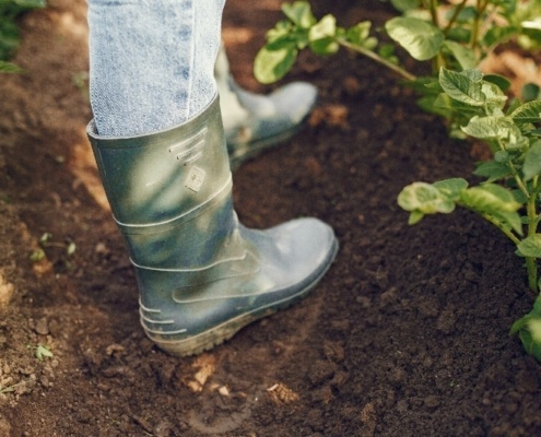 Kleigrond in uw tuin; uitdagingen en oplossingen