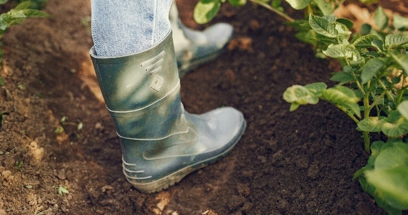 Tuinonderhoud in de winter (1) Kleigrond in uw tuin; uitdagingen en oplossingen