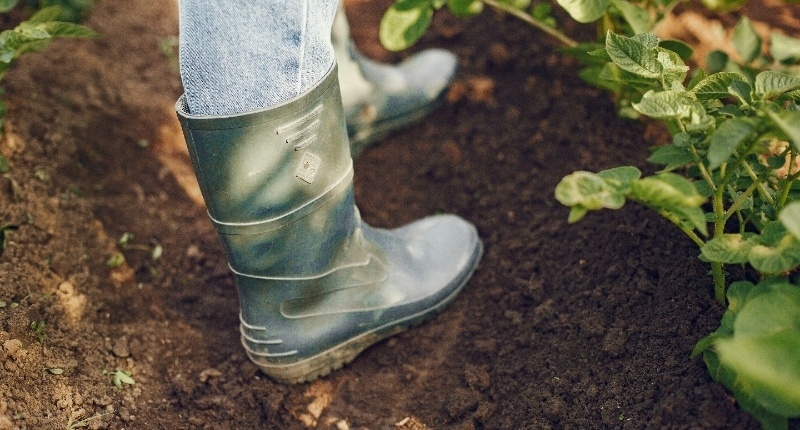 Kleigrond in uw tuin; uitdagingen en oplossingen