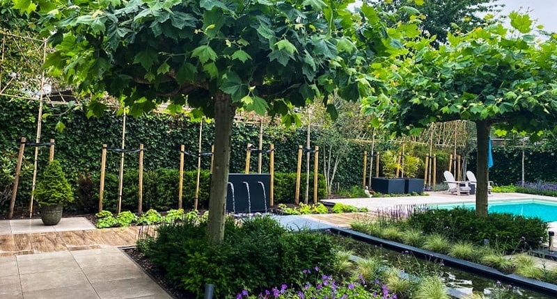 Hovenier in Den Bosch - Leibomen Hovenier in Den Bosch - Leibomen