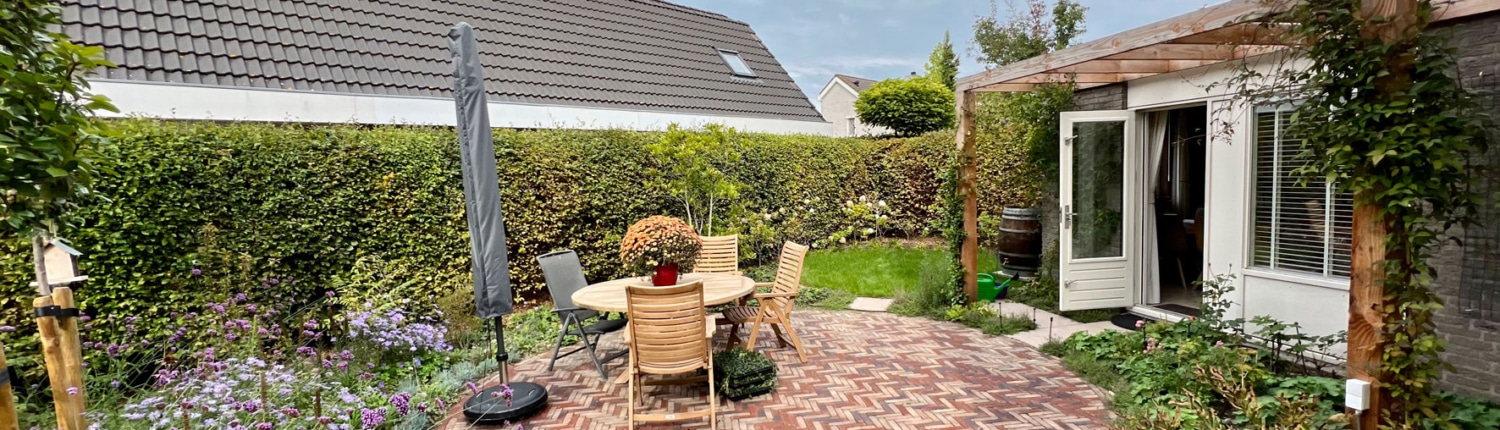 Botanische moderne tuin