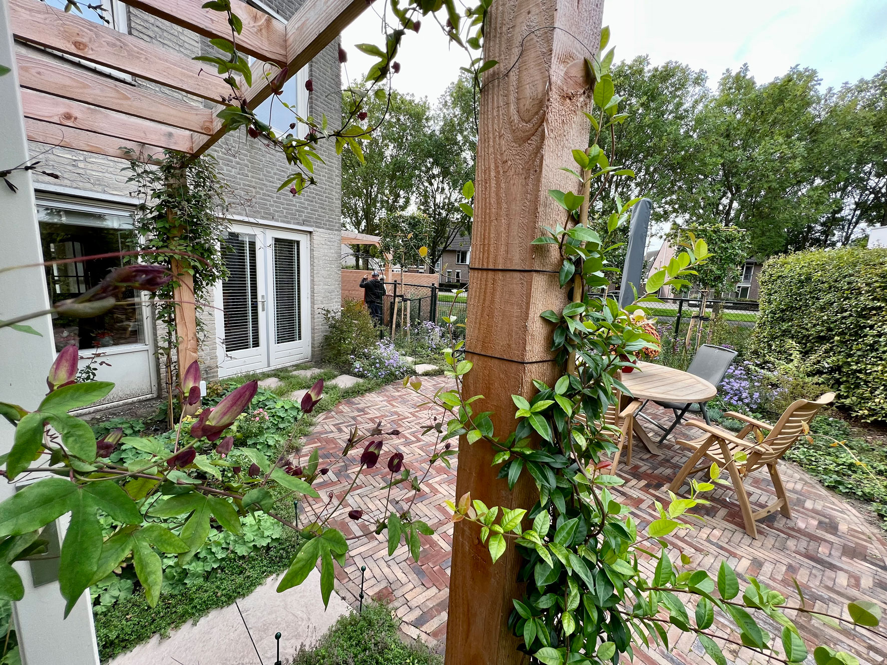 hovenier Kruisstraat hovenier Kruisstraat