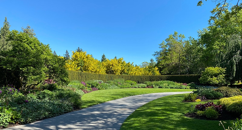 belevingstuin-Van-Hout-tuinprojecten Een rustige belevingstuin