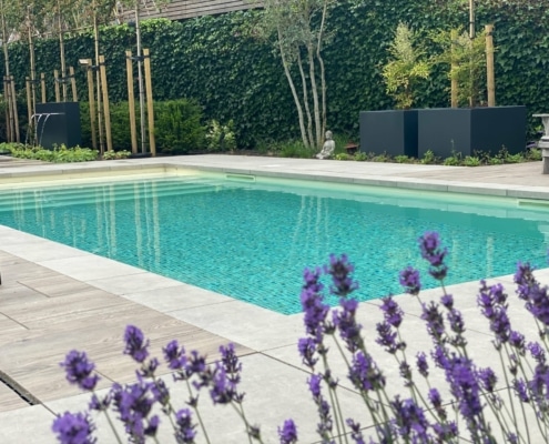 Uw eigen Ibiza tuin