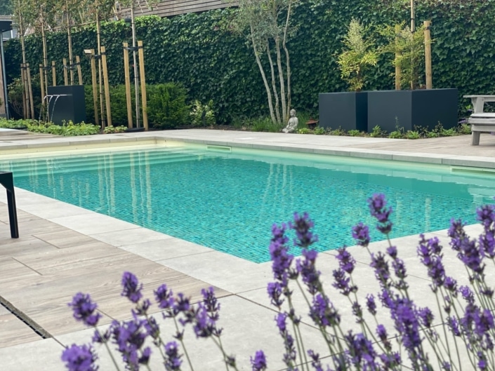 Uw eigen Ibiza tuin