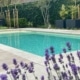 Uw eigen Ibiza tuin