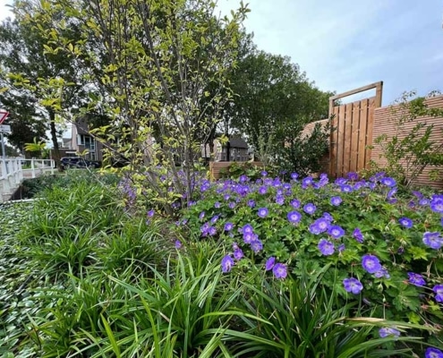 Van Hout Tuinprojecten geeft u tips voor het ontwerpen en aanleggen van een botanische tuin