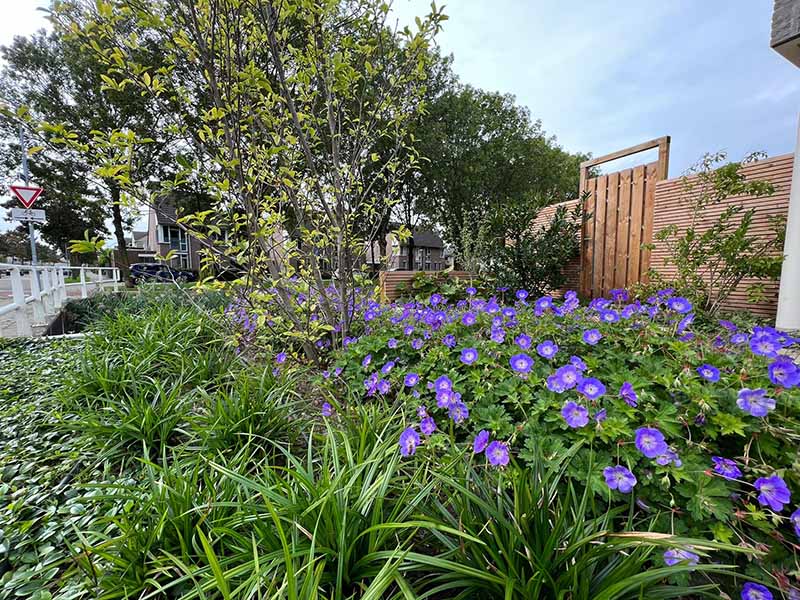 Van Hout Tuinprojecten geeft u tips voor het ontwerpen en aanleggen van een botanische tuin