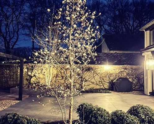 Van Hout tuinprojecten realiseert villatuin in Vught