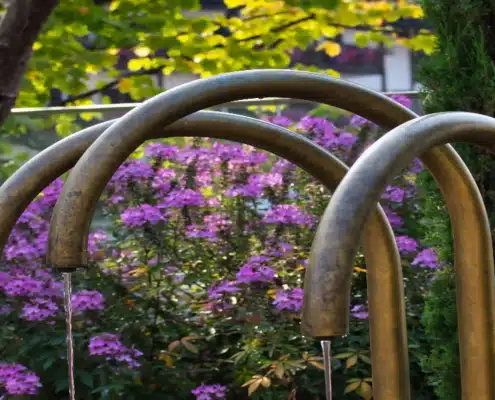 Van Hout Tuinrprojecten kan helpen bij het aanleggen van een Cosmic Future-tuin