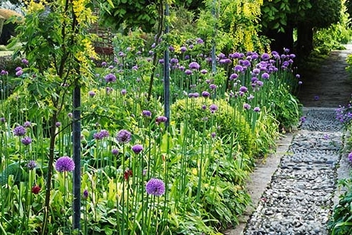 Tuintrend 2026: greens drenched tuin met volle beplanting