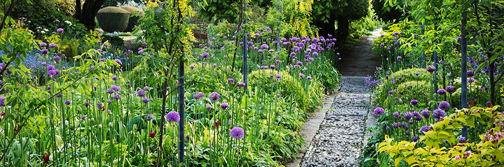tuintrends-2026-van-hout-hovenier-rosmalen Tuintrend 2026: greens drenched tuin met volle beplanting