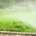 Van Hout Tuinprojecten vertelt hoe u met een regenwateropslag en sproei-installatie je tuin groen houdt