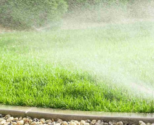 Van Hout Tuinprojecten vertelt hoe u met een regenwateropslag en sproei-installatie je tuin groen houdt