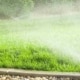 Van Hout Tuinprojecten vertelt hoe u met een regenwateropslag en sproei-installatie je tuin groen houdt