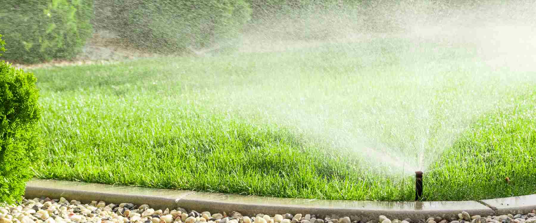 Van Hout Tuinprojecten vertelt hoe u met een regenwateropslag en sproei-installatie je tuin groen houdt